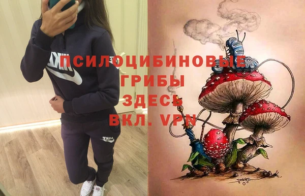 2c-b Алексеевка