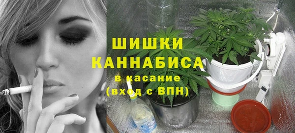 винт Алзамай